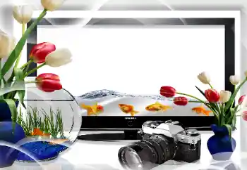 Photo effect from category Different № 26669