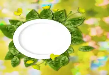 Photo effect from category Different № 26737