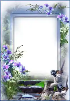 Photo effect from category Different № 27695