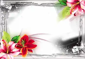 Photo effect from category Different № 2804 Photo effect from category Different № 2804