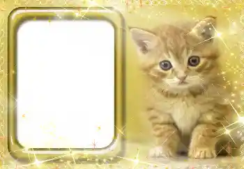 Photo effect from category Different № 3412 Photo effect from category Different № 3412