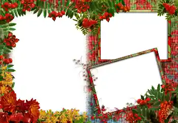 Photo effect from category Different № 3413 Photo effect from category Different № 3413