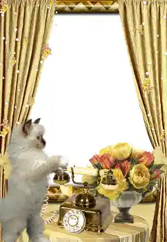 Photo effect from category Different № 3419 Photo effect from category Different № 3419