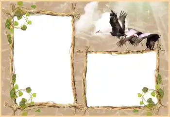 Photo effect from category Different № 3430 Photo effect from category Different № 3430