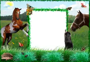 Photo effect from category Different № 34915