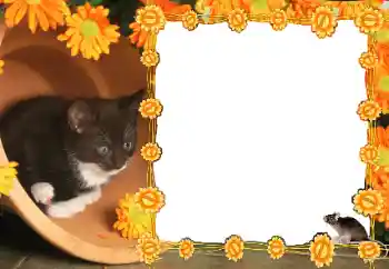 Photo effect from category Different № 36235