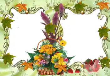 Photo effect from category Different № 36278