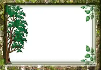 Photo effect from category Different № 38357