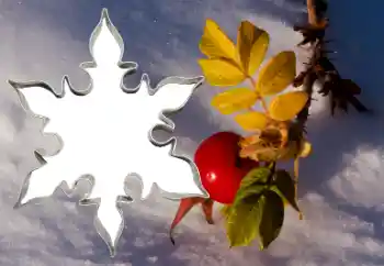 Photo effect from category Different № 38548