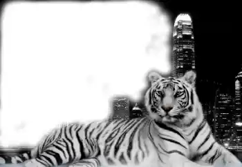 Photo effect from category Different № 38947