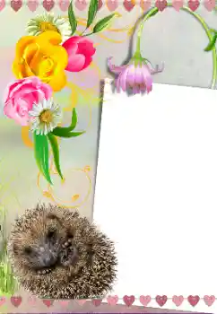 Photo effect from category Different № 39281