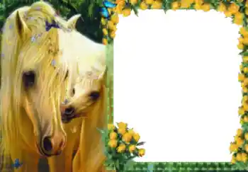 Photo effect from category Different № 40511