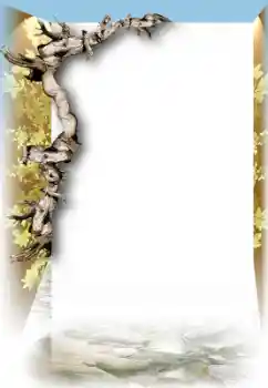 Photo effect from category Different № 44688