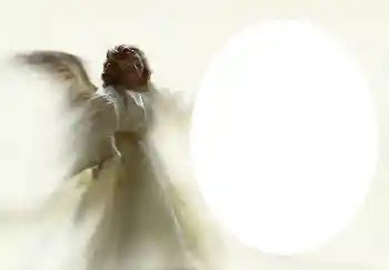 Photo effect from category Different № 4541 Photo effect from category Different № 4541