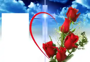 Photo effect from category Different № 46964