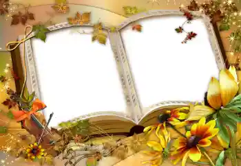 Photo effect from category Different № 47137