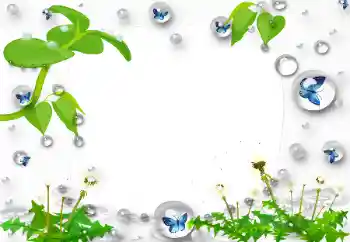 Photo effect from category Different № 47168