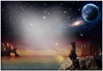 Photo effect from category Different № 49504