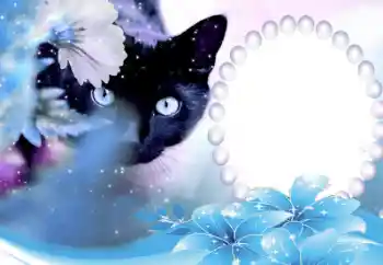 Photo effect from category Different № 50647