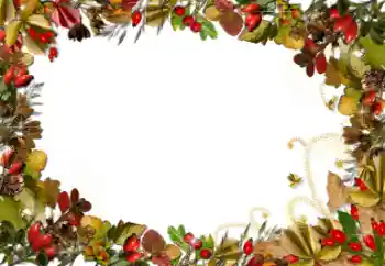 Photo effect from category Different № 52161