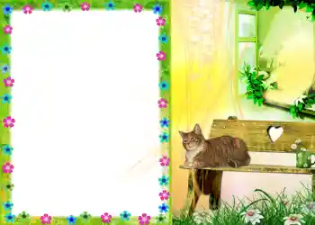 Photo effect from category Different № 579 Photo effect from category Different № 579