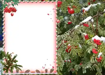 Photo effect from category Different № 581 Photo effect from category Different № 581