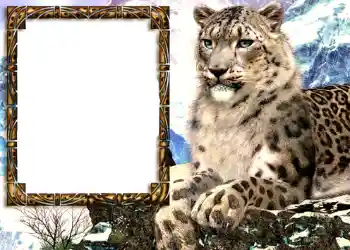 Photo effect from category Different № 585 Photo effect from category Different № 585