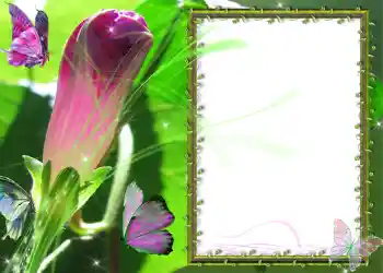 Photo effect from category Different № 586 Photo effect from category Different № 586