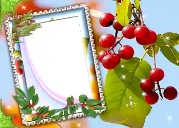 Photo effect from category Different № 587 Photo effect from category Different № 587