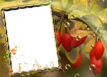 Photo effect from category Different № 588 Photo effect from category Different № 588