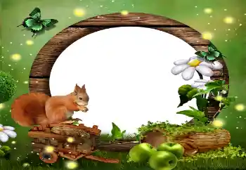 Photo effect from category Different № 59010