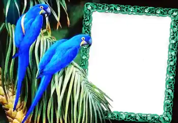 Photo effect from category Different № 60137