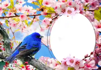 Photo effect from category Different № 60139