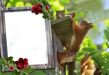 Photo effect from category Different № 60195