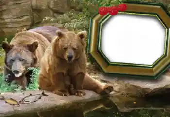 Photo effect from category Different № 60215