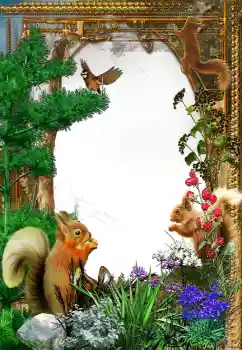 Photo effect from category Different № 61573