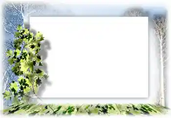 Photo effect from category Different № 62634