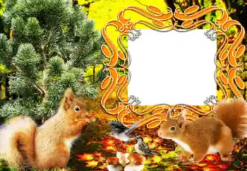 Photo effect from category Different № 64207