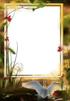 Photo effect from category Different № 64458