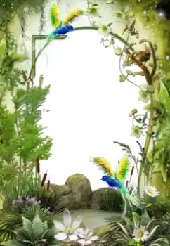 Photo effect from category Different № 64461 Photo effect from category Different № 64461