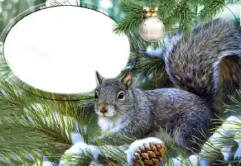 Photo effect from category Different № 65735