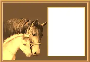 Photo effect from category Different № 67145