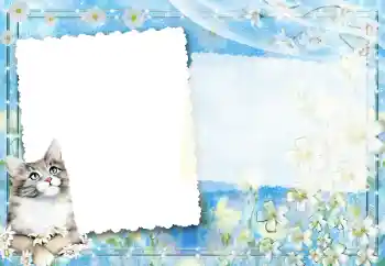 Photo effect from category Different № 67194