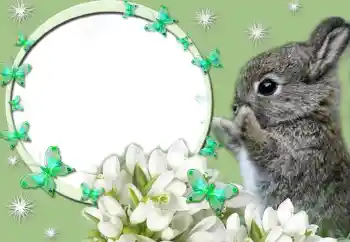 Photo effect from category Different № 67247 Photo effect from category Different № 67247