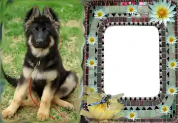 Photo effect from category Different № 68616 Photo effect from category Different № 68616