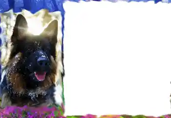 Photo effect from category Different № 68617 Photo effect from category Different № 68617