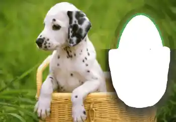 Photo effect from category Different № 68648 Photo effect from category Different № 68648