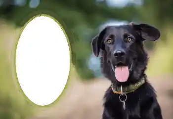 Photo effect from category Different № 68649 Photo effect from category Different № 68649