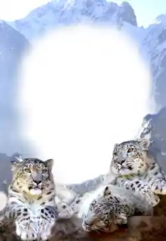 Photo effect from category Different № 68679 Photo effect from category Different № 68679