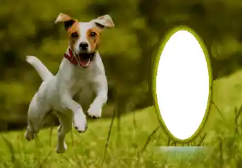 Photo effect from category Different № 68744 Photo effect from category Different № 68744